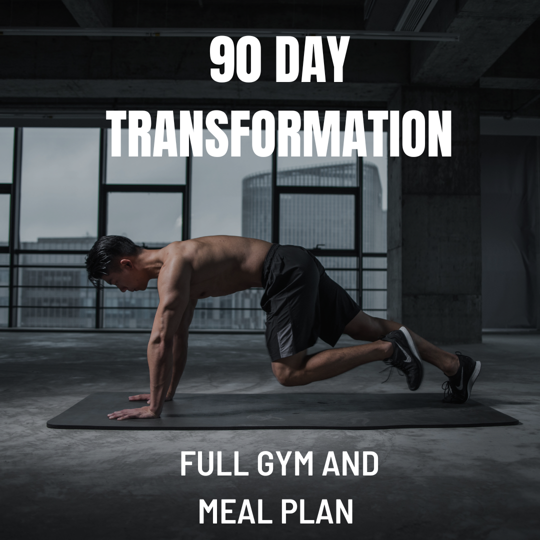 90 Day Gym Transformation