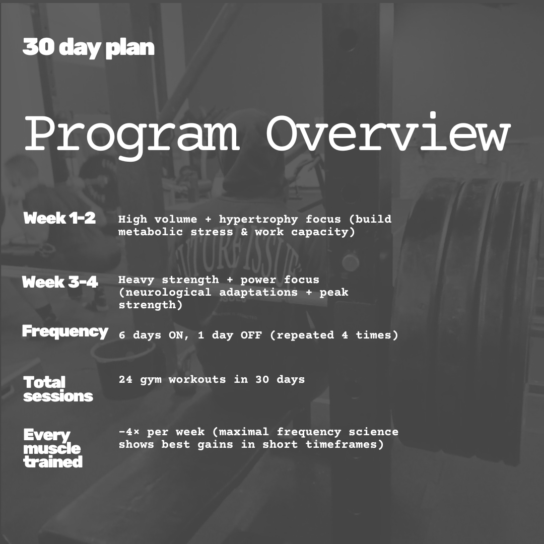 30 Day Transformation